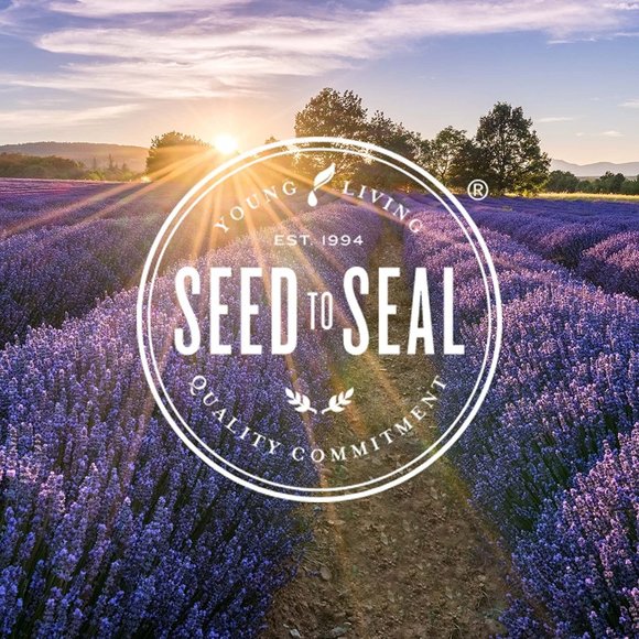 Feather the Owl by Young Living - Picture 5 of 5